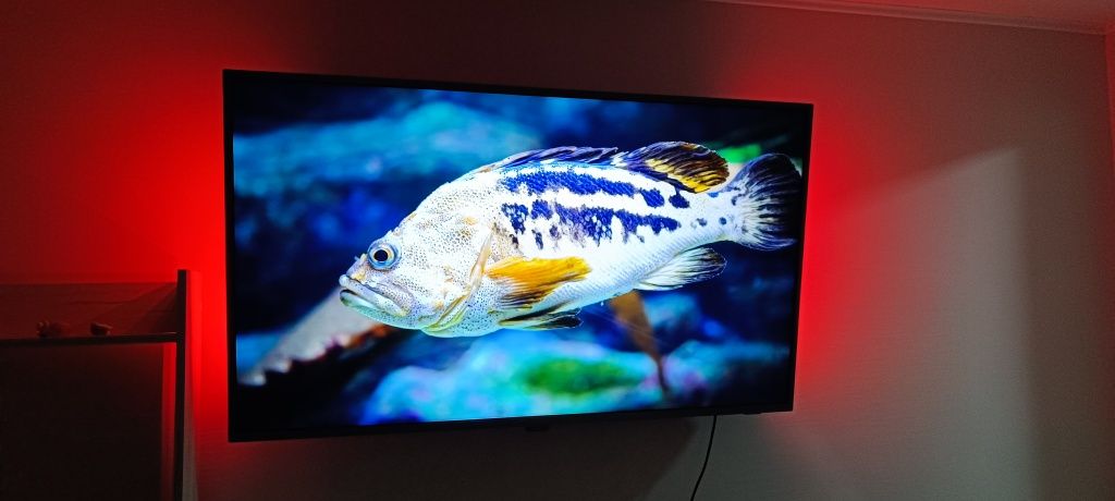 Philips ambilight 55 inch( 139cm)