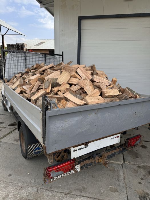 Vând lemn de foc de fag vrac