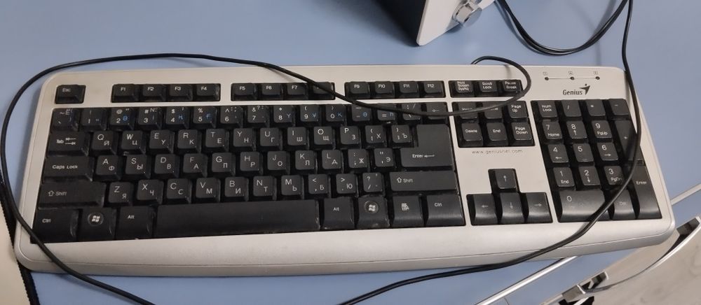 Клавиатура Genius KB110X silver USB