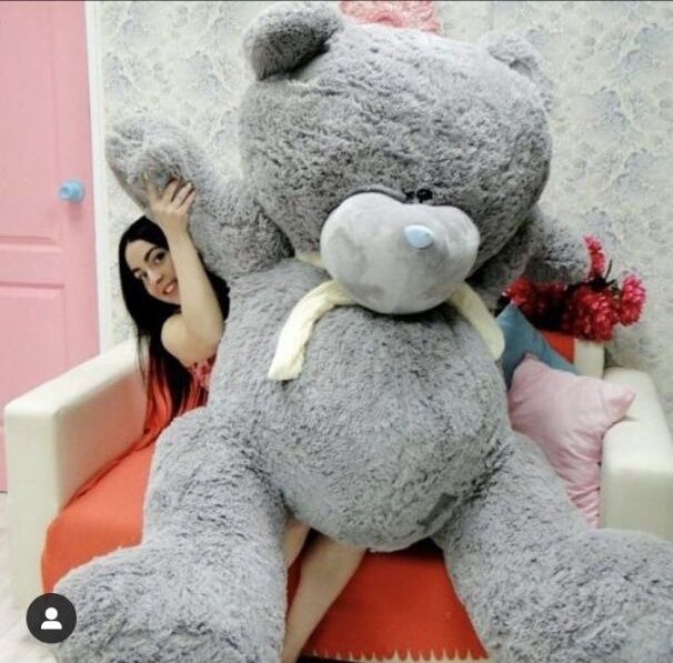 Teddy + Teddi Bonusga Qo'shib beramiz