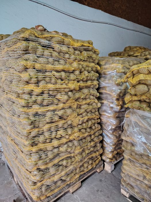 Cartofi +55 10kg Super calitate! Preturi negociabile