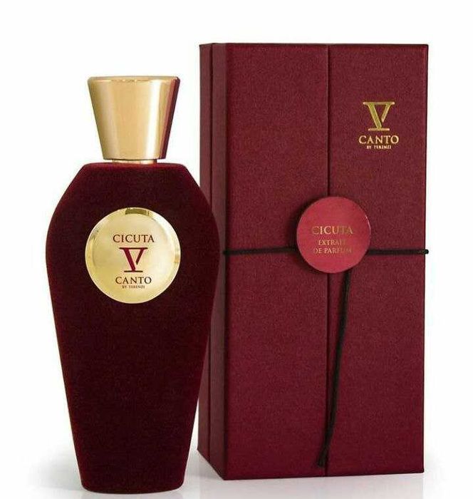 V Canto Extrait De Parfum 100ml  ORIGINAL