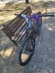 Rockider 530 st custom