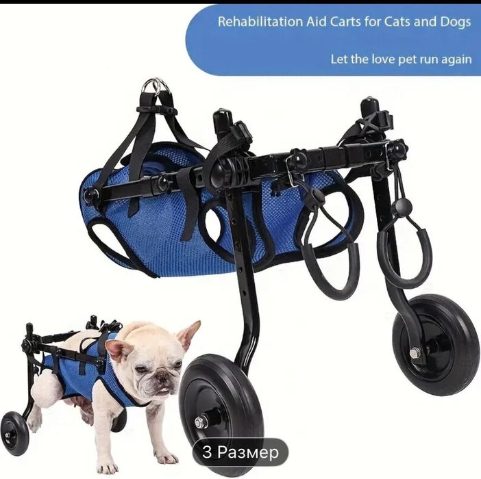 Инвалидной коляска для собак