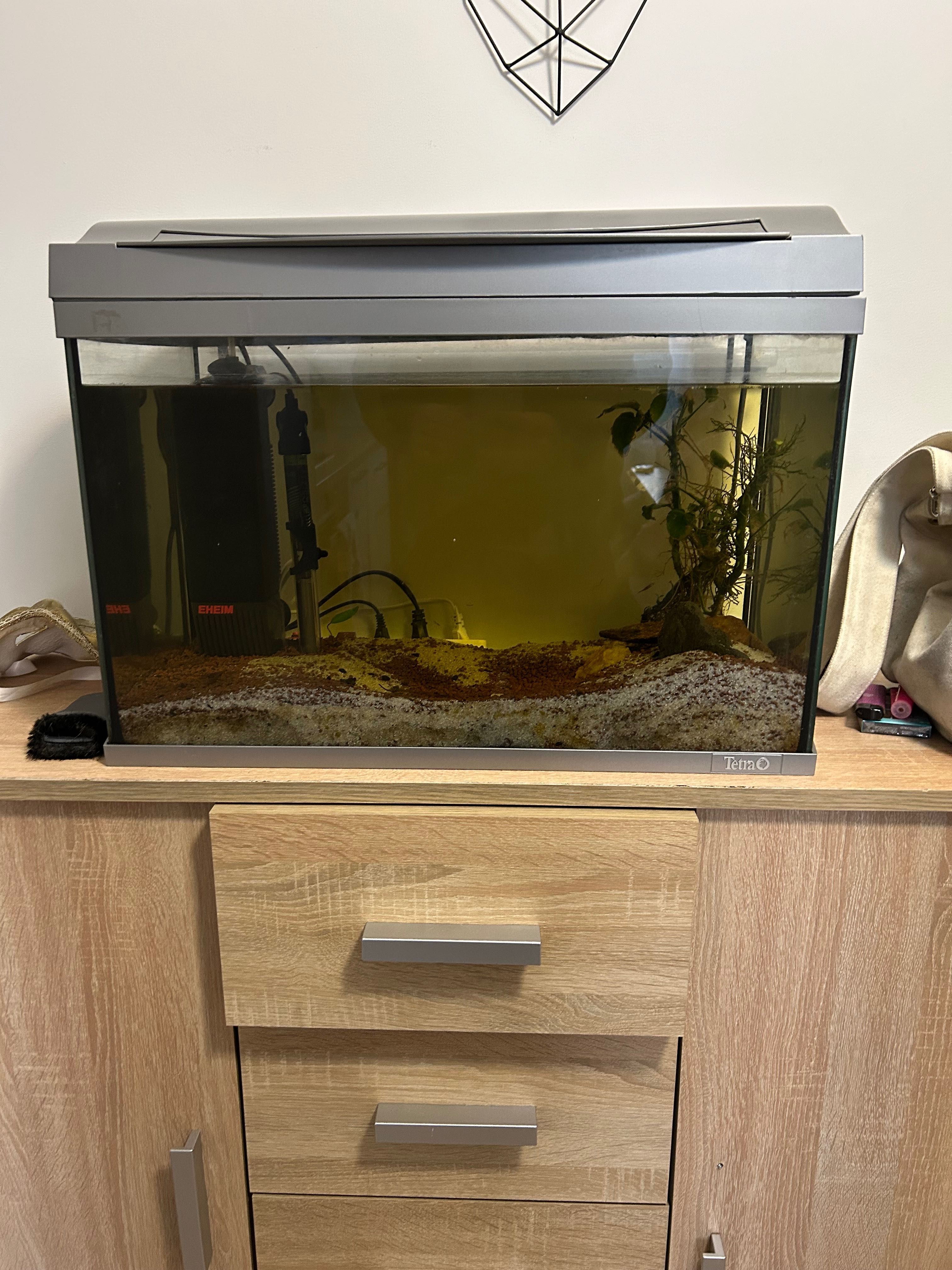 Acvariu 60l tetra cu Capac/Filtru/Incalzitor