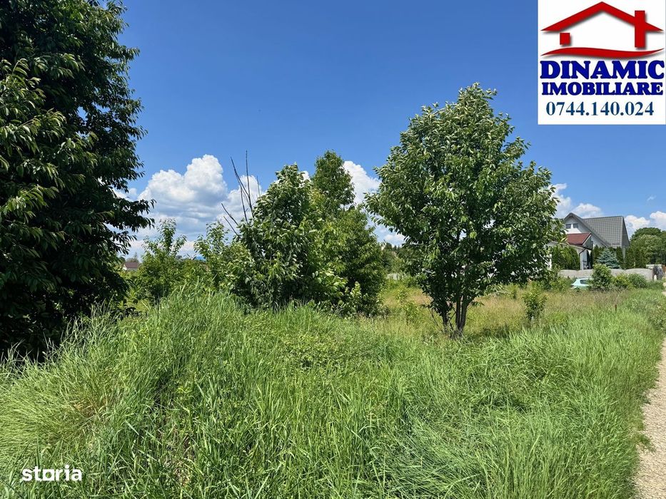 500mp intrav Turturesti