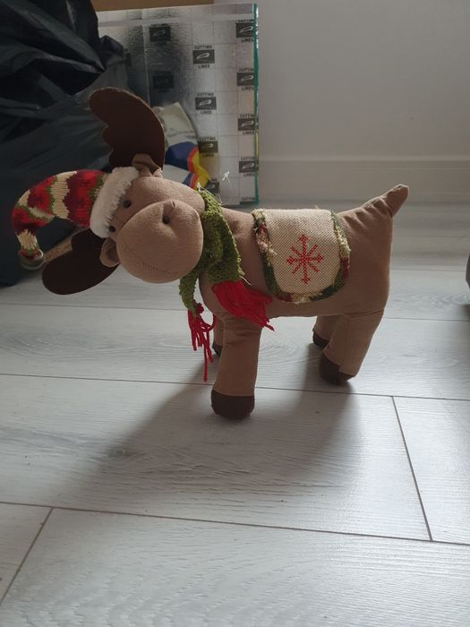 Ren decoratie Craciun