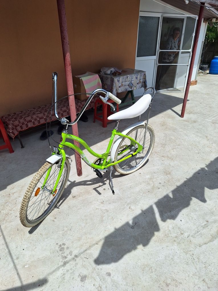 Bicicleta pegas strada 2