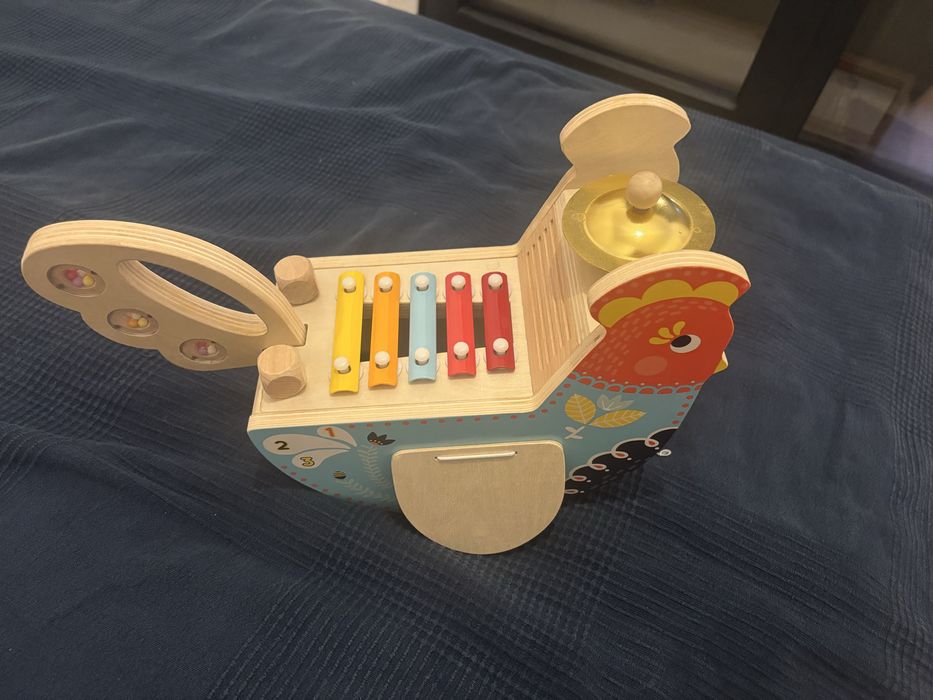 Музикално пиле с различни инструменти