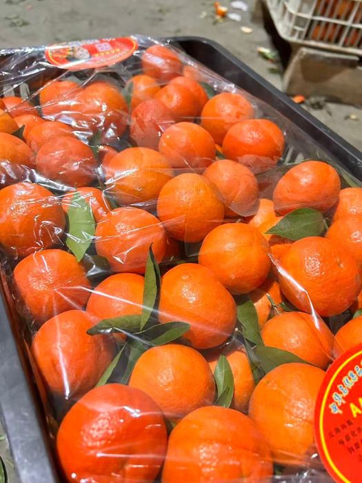 Мандарины из Марокко - низкая цена