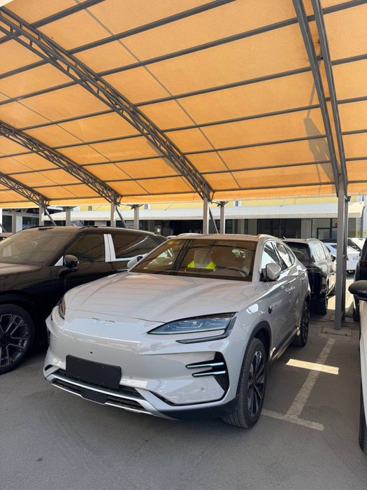 Byd champion smart 2025 yil 605 km