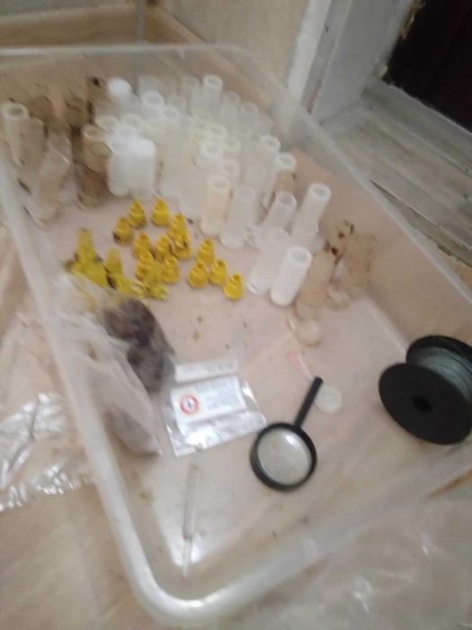 Продавам магазини и кошери втора ръка 15лв магазин