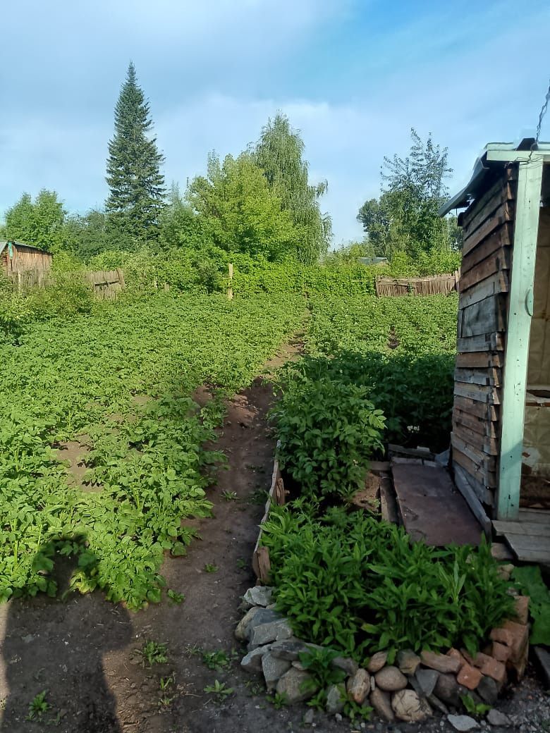 Продам дом в городе Алтай (Зыряновск)