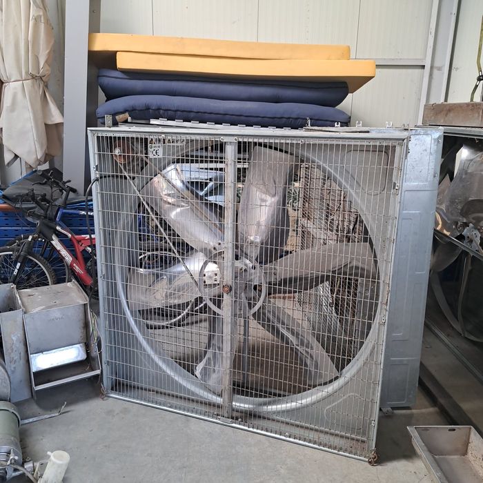 covoare vaci cusete fronturi racleti