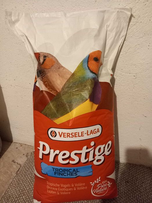 Prestige Versele Laga