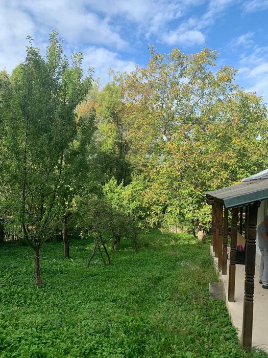 Vand teren 1560mp+casa batraneasca renovata in Bertea Slanic Prahova