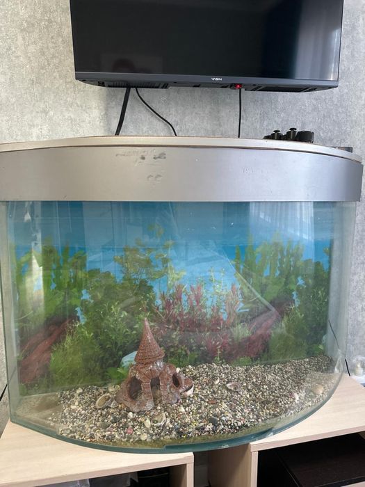 Отдам даром аквариум