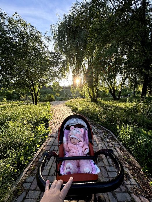 Коляска 2в1 Riko Sigma