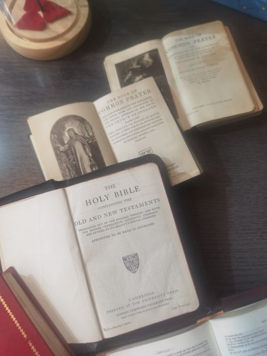 Biblia în limba engleză 1906, 1916,1935,Traducerea lumii noi