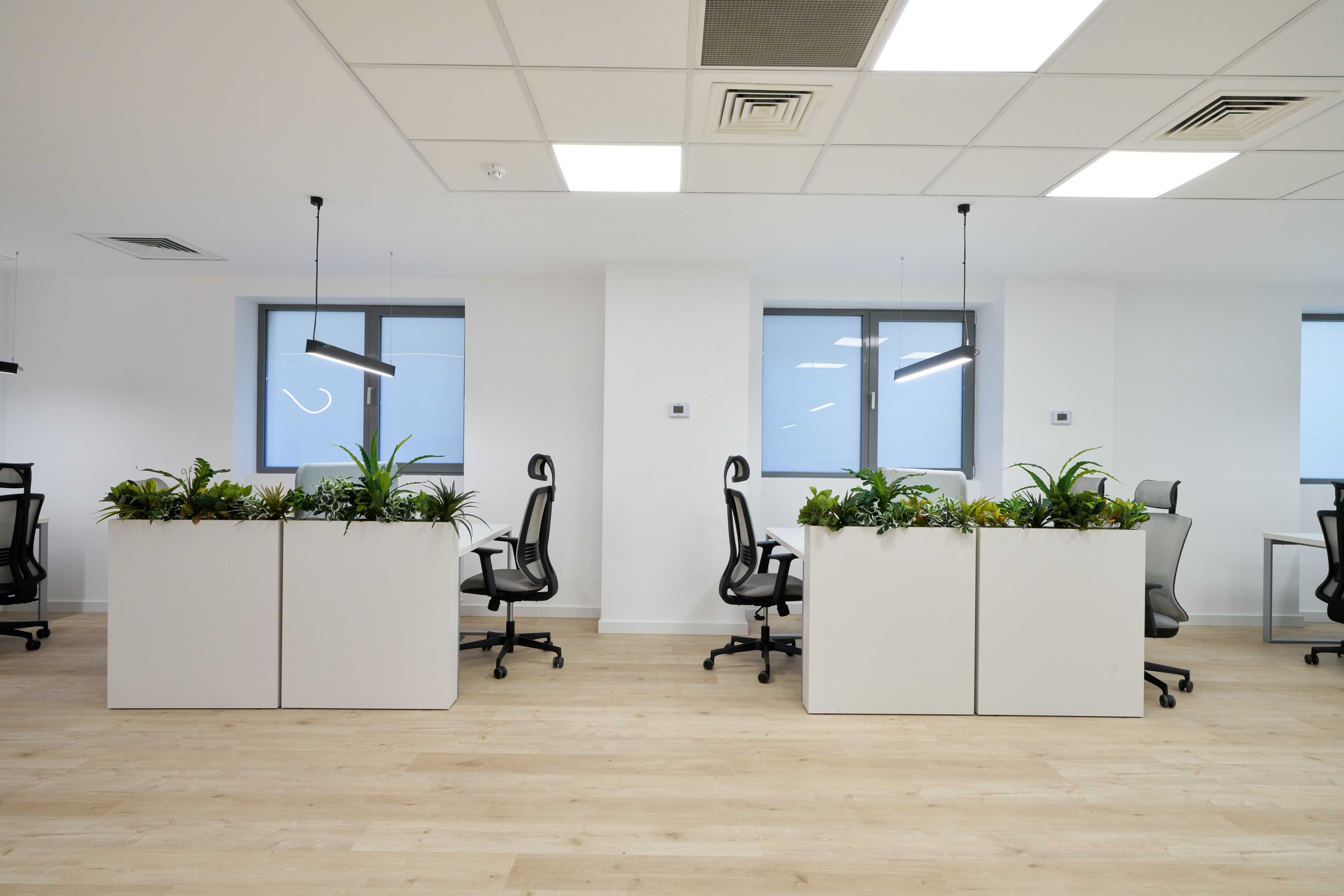Birouri de Închiriat, Spatiu Coworking, zona Universitate