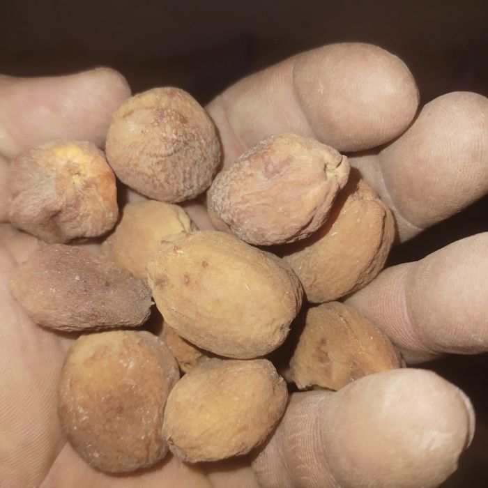 Сухофрукты натуральные вкусные без каких-либо добавки яблока и урюк