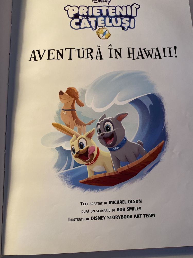 3 carti Disney Prietenii Catelusi Zootropolis Regele Leu