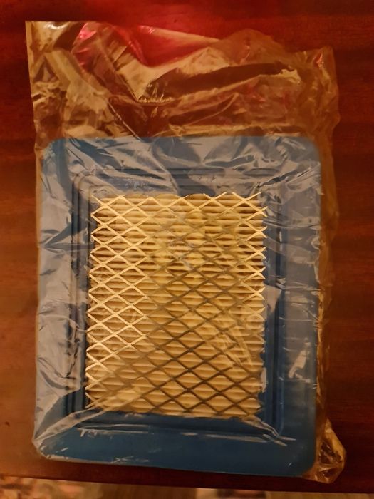 Piese Briggs & Stratton