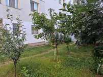 Apartament 1 camera