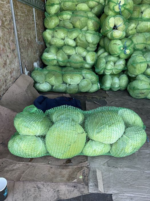 Varză Verde De Murat/Tocat