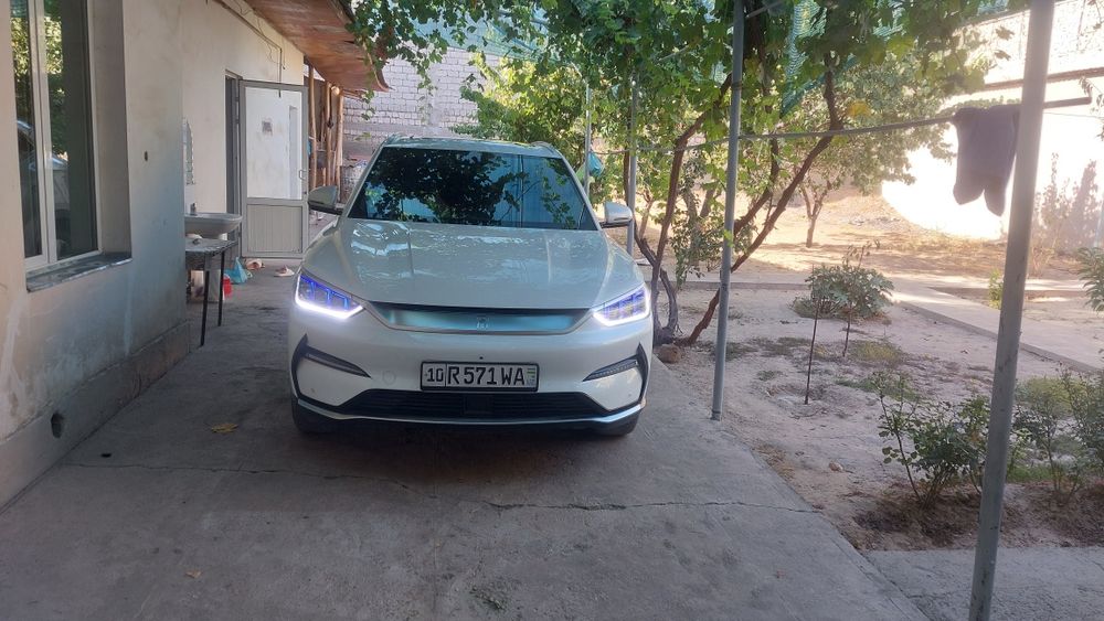 Byd song plus nasiyaga yoki naxt