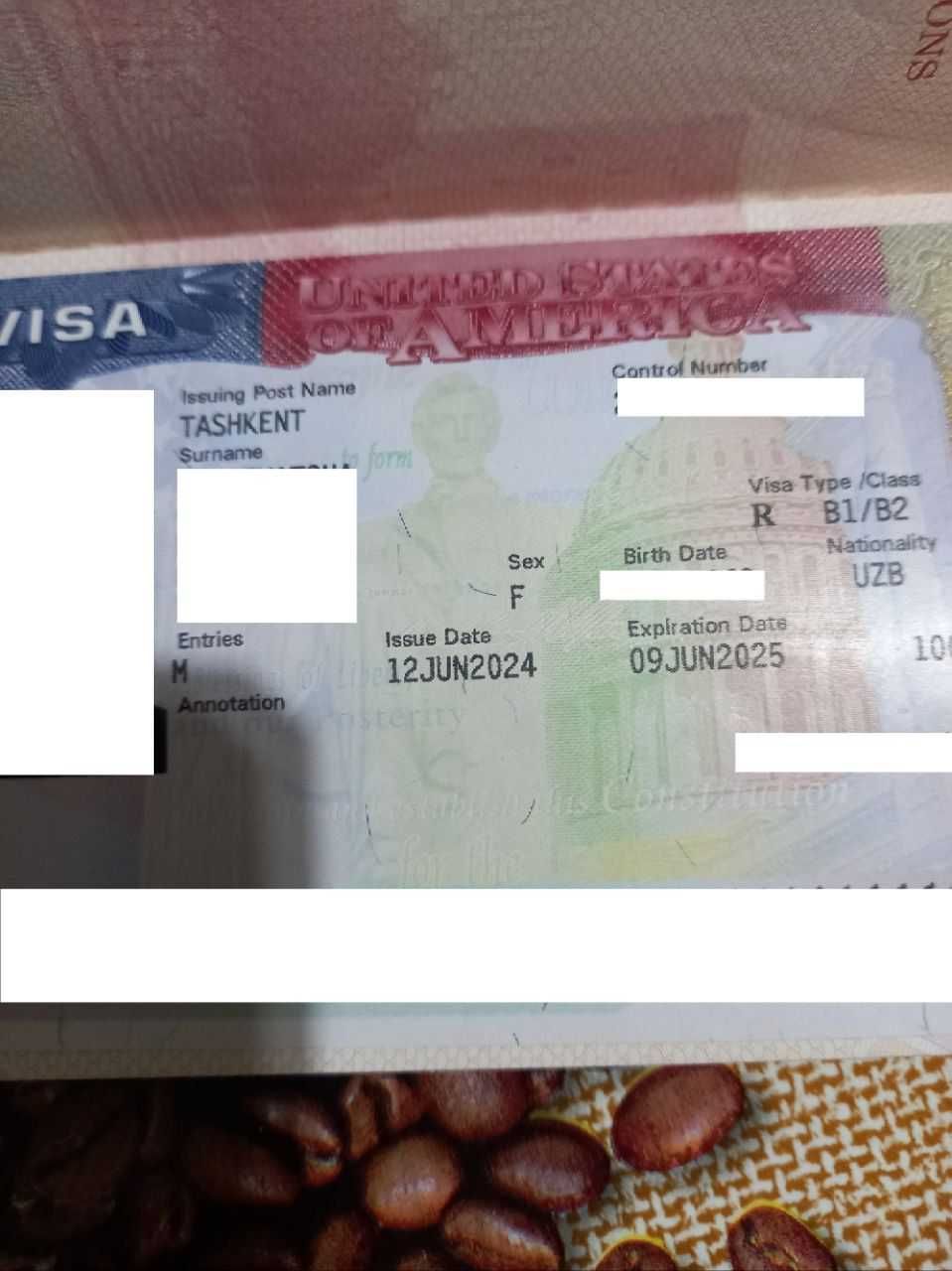 Визовая поддержка в США / Amerikaga viza olishda professional yordam