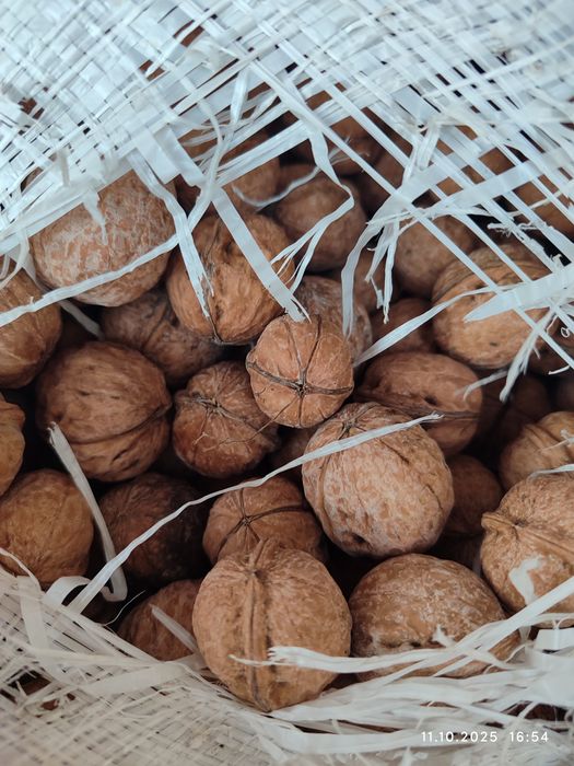 Грецкий орех свежий