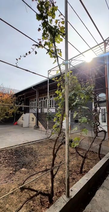 Ферма Кибрай Шалола Мфй 40 соток