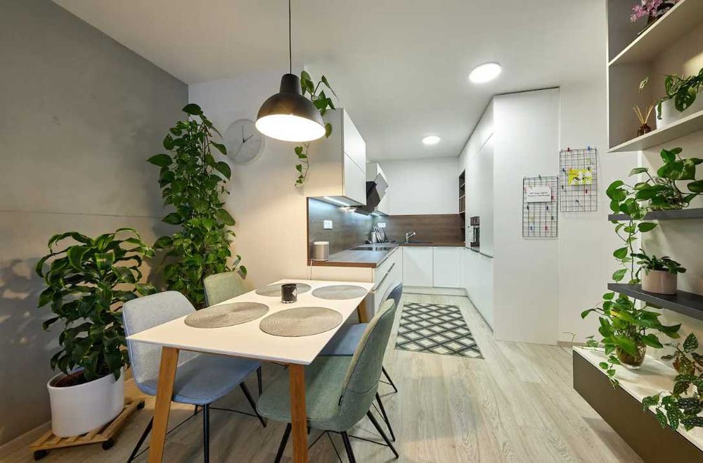 Дава се под наем Двустаен апартамент в Пловдив, Каменица 1 - 68 кв.м за 362.1 € - Снимка #4