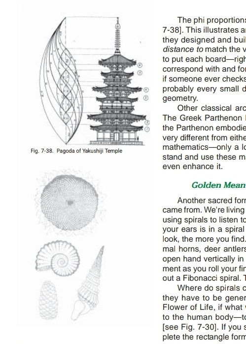 The ancient secret of the flower of life