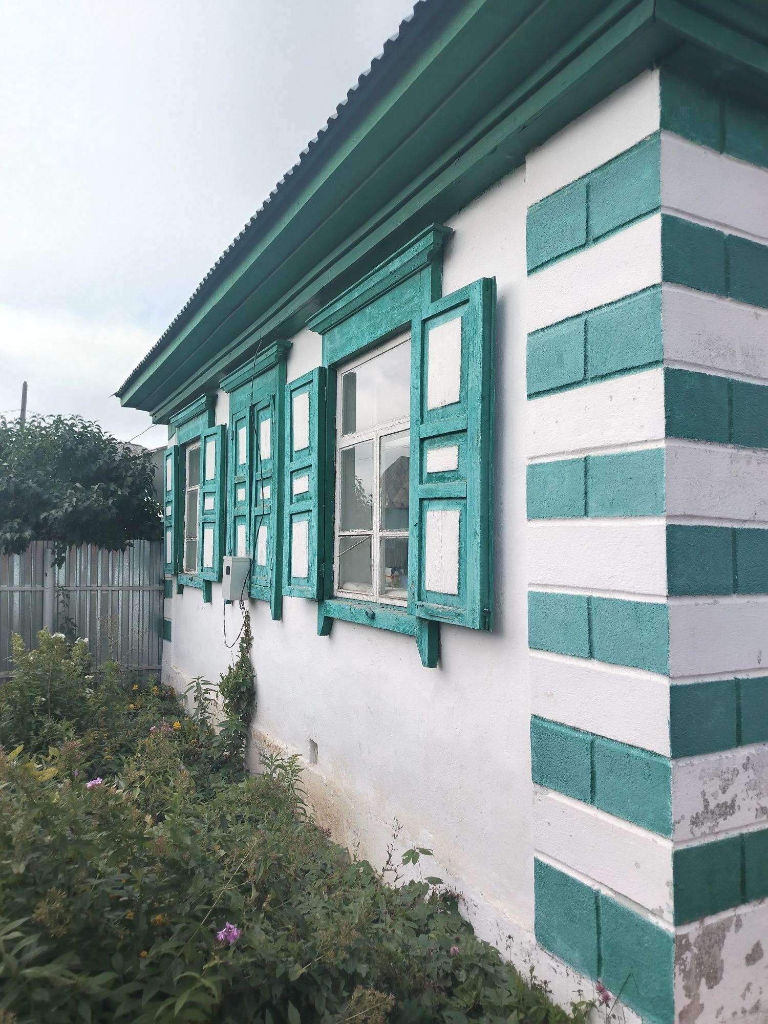 Продам дом, пасеку, пчелосемьи