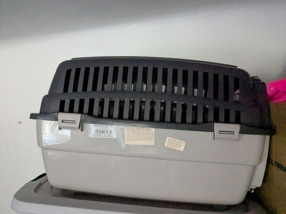 Box transport animale