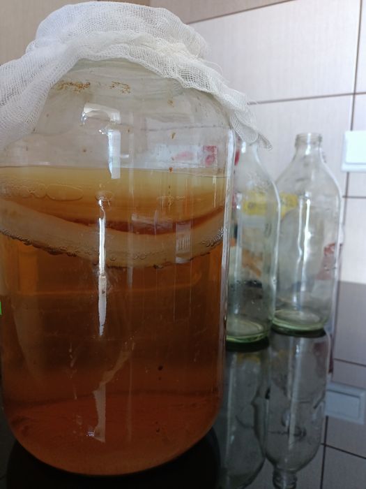 Vând kit kombucha