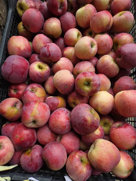 Mere Florina si Starkison pentru consum