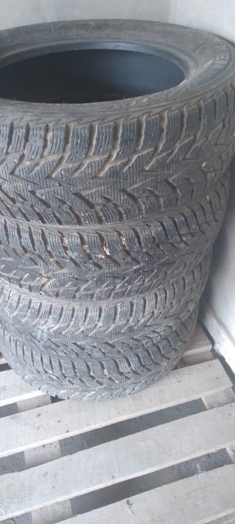 Автошины зимний 3 виде
