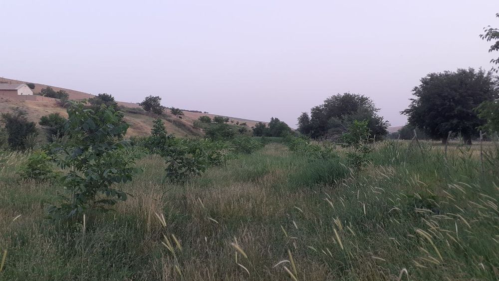Samarqand viloyati Payariq tumani Nakurt MFYda uchastka sotìladi.