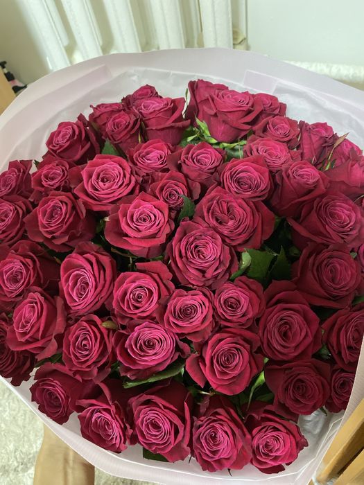 Свежие цветы, 51 штук