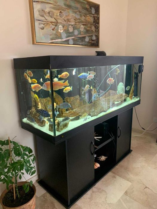 Acvariu Juwel Rio 400 litri