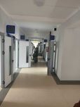 Резиновый линолеум ПВХ релин