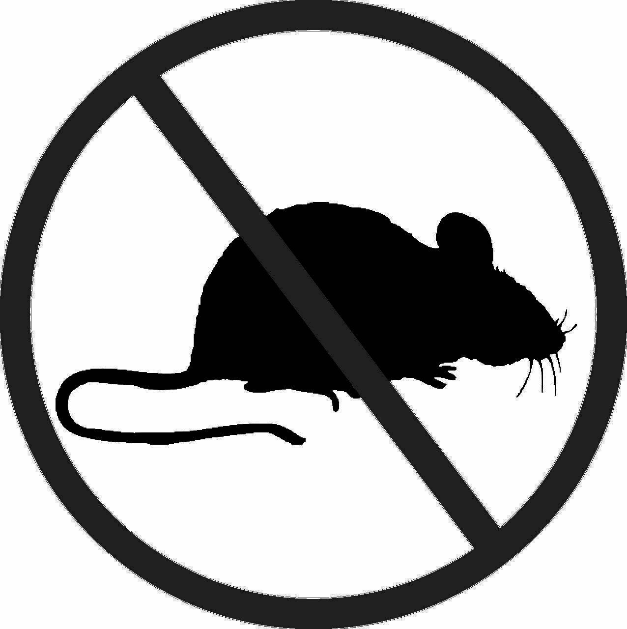 Уничтожение крыс,мышей дератизация, дезинфекциия