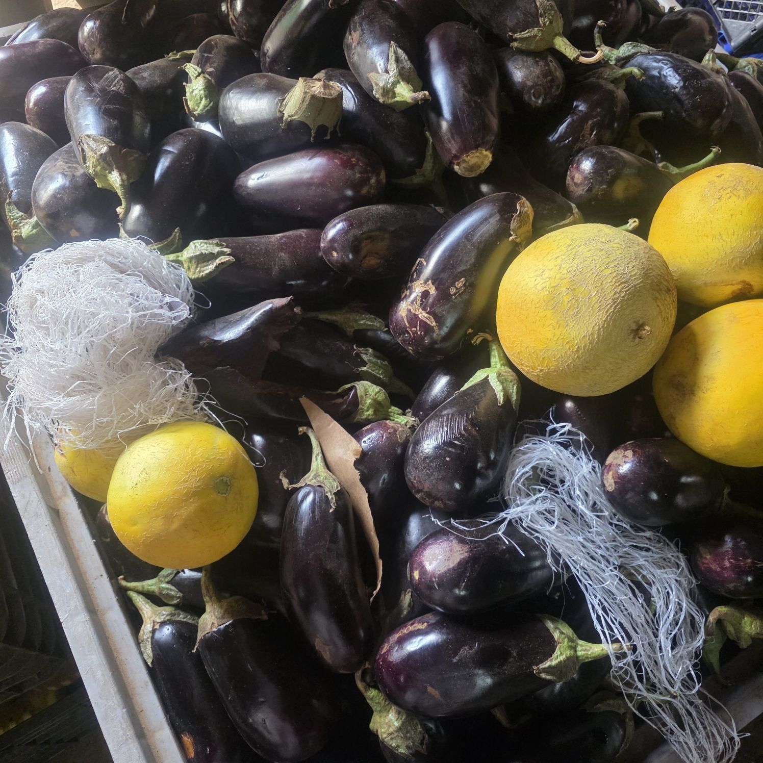 Vinete,ardei,pepene galben