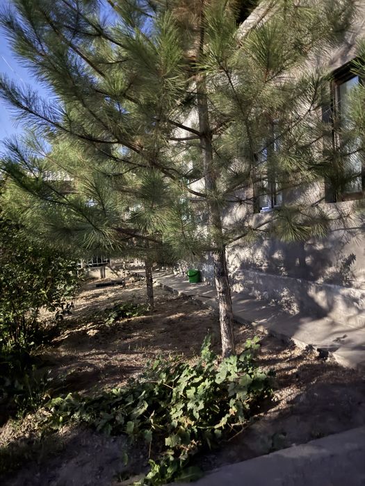 Продается дом под бизнес,первая линия 4,2 сот.фасад 18м. Миробадский р