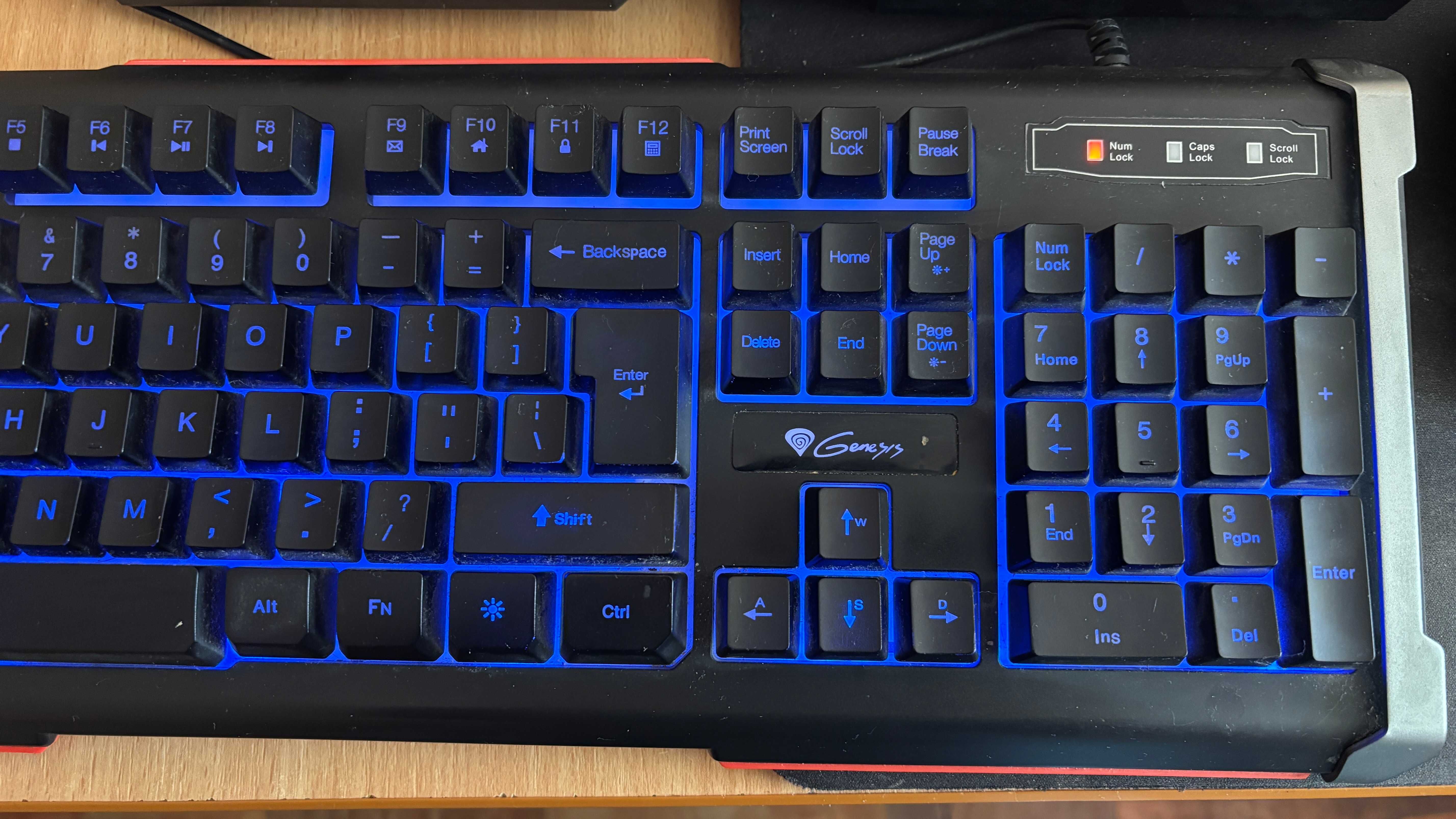 Tastatura Gaming cu fir Genesis RHOD 400