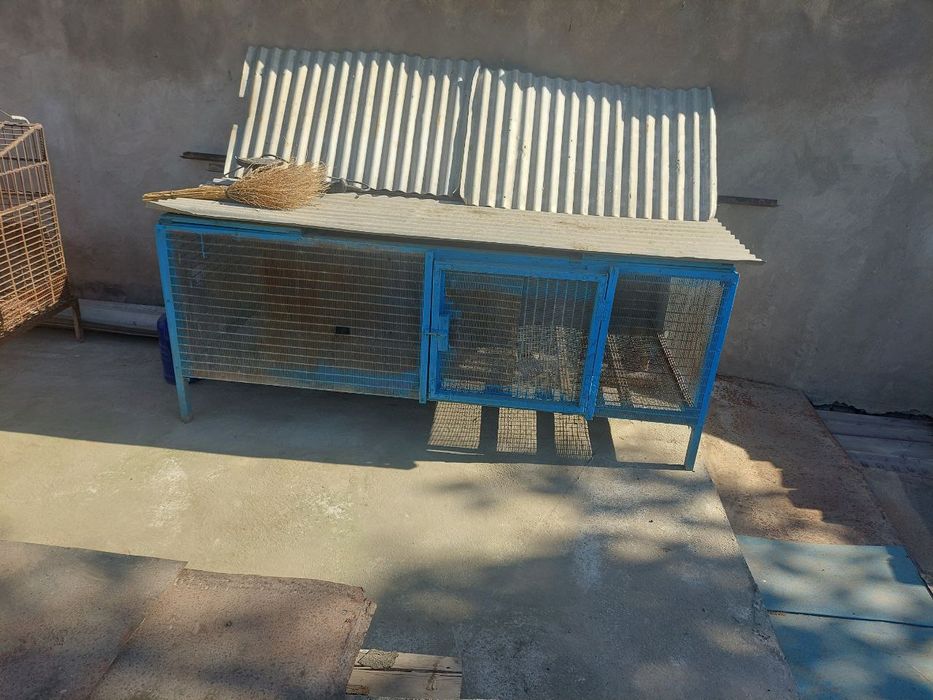 Клетки для крылатых