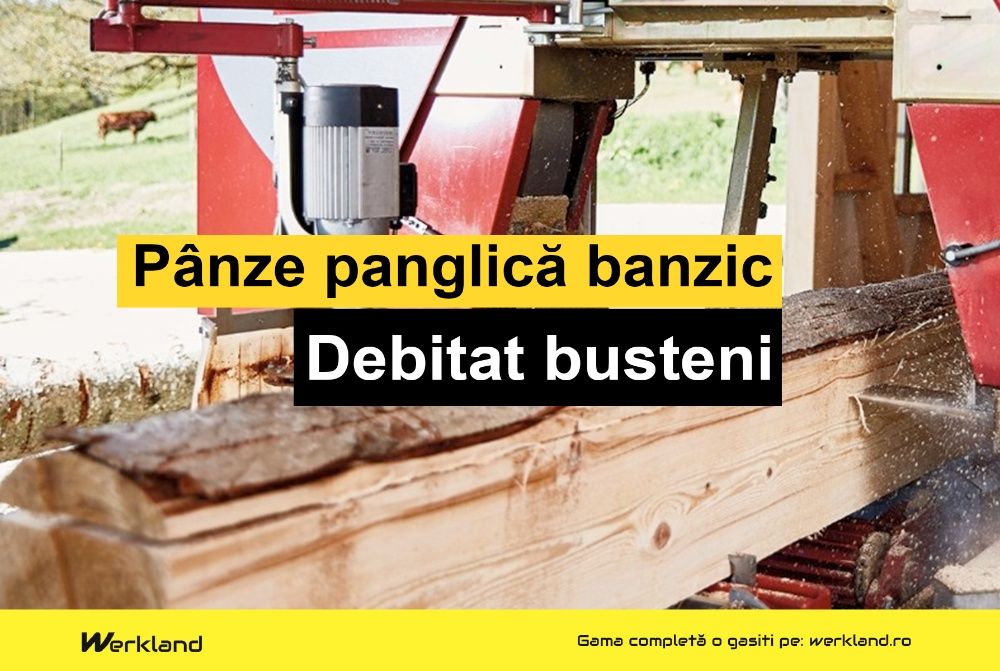 Panze panglica banzic busteni 4000x35x1.0x22.22 | Made in Germany
